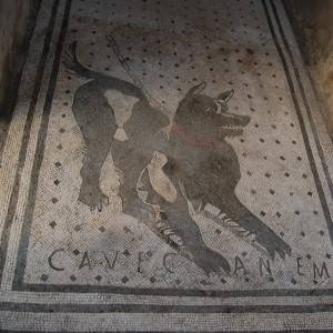 Cave Canem