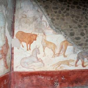 Casa di Romolo e Remo