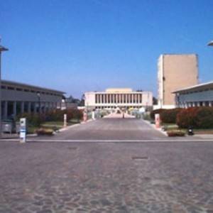 mostra-d-oltremare_original-2