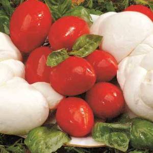 Treccia di mozzarella Ponte a Mare