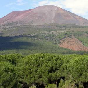 Parco nazionale del Vesuvio