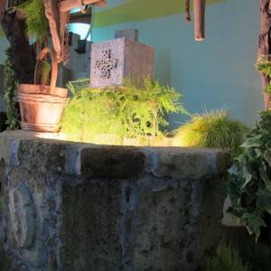 Pontecitra