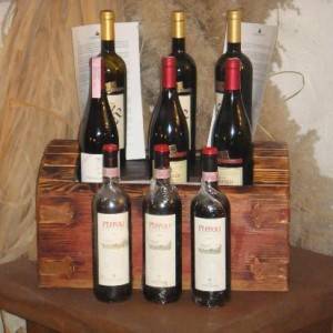 I vini del bistrot