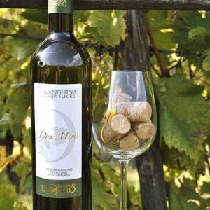 Il vino dei Campi Flegrei