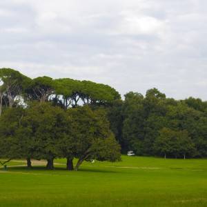 I prati del bosco di Capodimonte