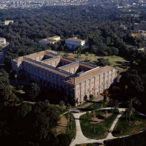 Reggia e bosco di Capodimonte visti dall’alto
