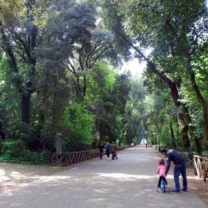 Viali nel parco della reggia