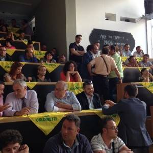 Eccellenze Campane, il pubblico presente in sala alla cerimonia di consegna degli Oscar Green