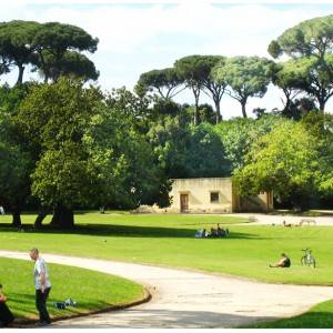 Il bosco verde di Capodimonte