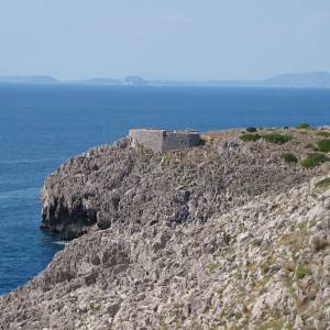 fortini-capo miseno