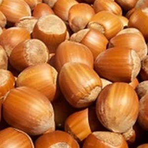 Nocciole