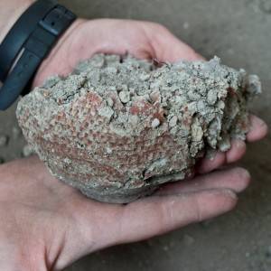 Boccalino a pareti sottili crudo
