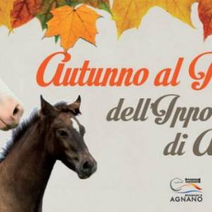 La locandina dell’evento