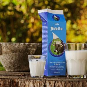 latte-nobile
