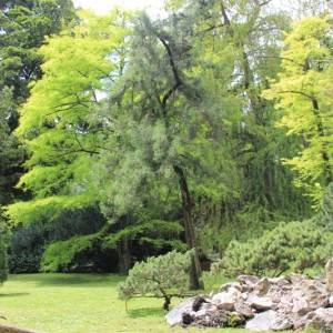 Full immersion nel verde all’Orto Botanico di Napoli (photo Federica Rispoli)