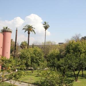 Napoli, l’Orto Botanico (photo Federica Rispoli)