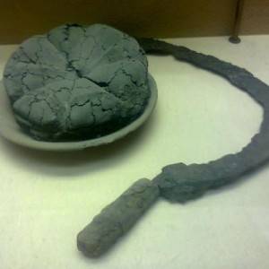 Alcuni rari reperti in mostra all’Antiquarium una pagnotta carbonizzata e una falce