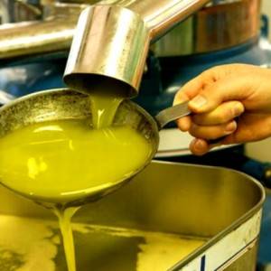 Lavorazione dell’olio