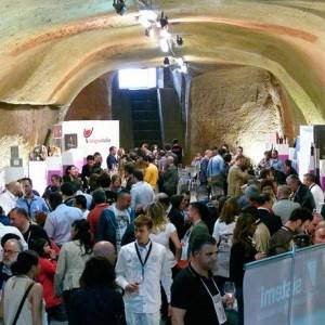 Il pubblico di Vitignoitalia