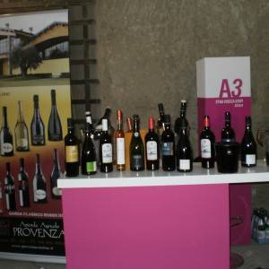 Vini protagonisti a Castel dell’Ovo per l’undicesima edizione di Vitignoitalia