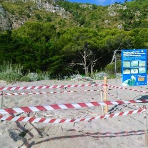 Foce Mingardo a Marina di Camerota, la spiaggia del ritrovamento
