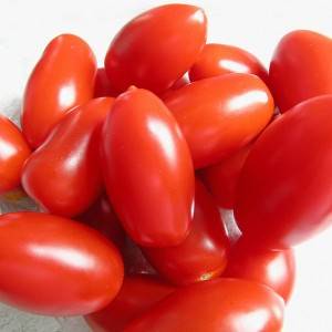 pomodori-perini