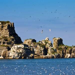 Rovigliano scoglio