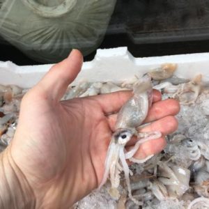 Calamarata con polpa di cicarelle e calamaretti