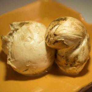 mozzarella provola treccia campane caseificio ponte a mare