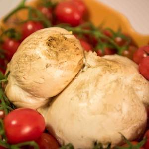 mozzarella provola treccia campane caseificio ponte a mare