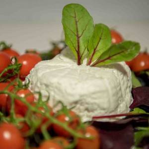 mozzarella provola treccia campane caseificio ponte a mare