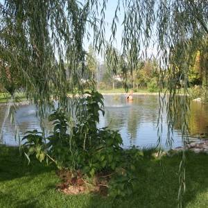 location eventi caserta tenuta san domenico