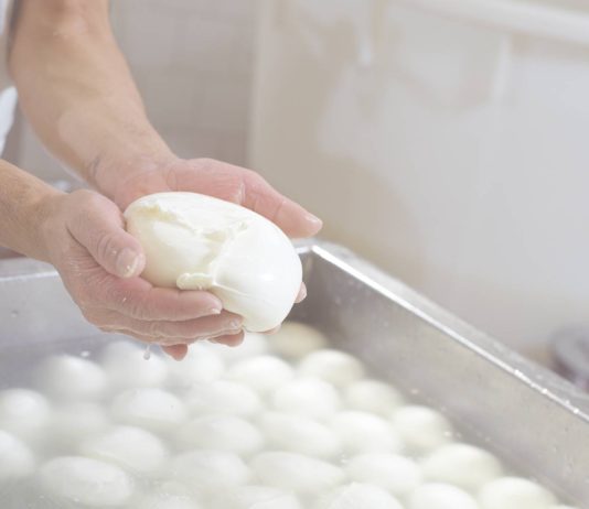 Mozzarelle campane - Ponte a Mare