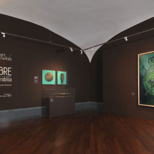 La mostra di Jean Fabre al Museo di Capodimonte