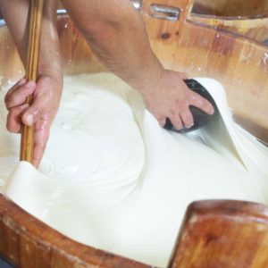 mozzarella campana premiata da Gambero Rosso Castelvoltuno