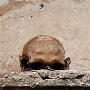 Il teschio con le orecchie