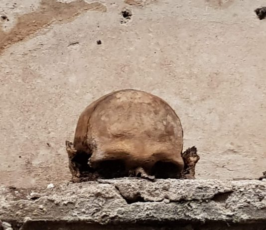 Il teschio con le orecchie