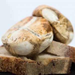 Caseificio Ponte a Mare